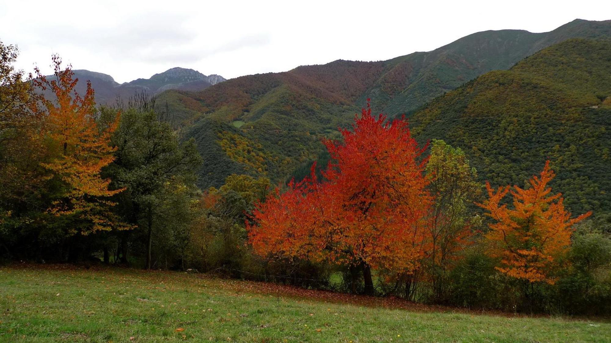 Casa Rural Los Llares Леронес Экстерьер фото